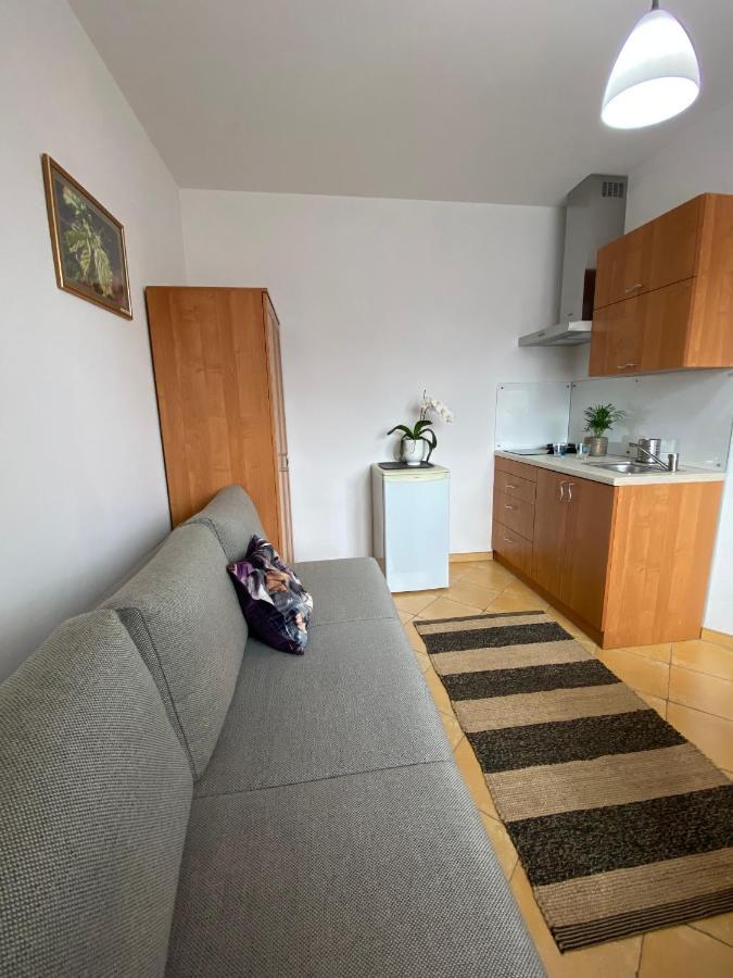 Pokoje Pod Kasztanami Jantar Buitenkant foto